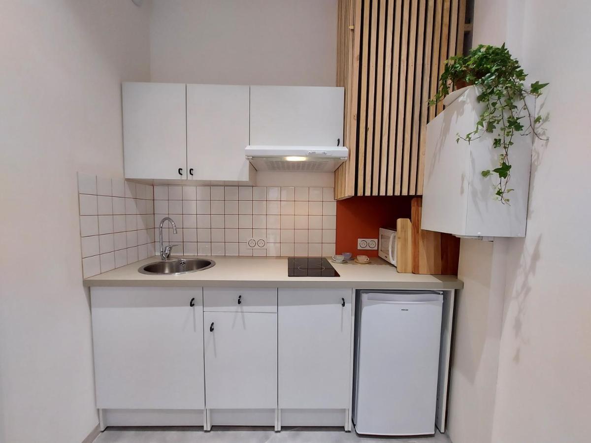 Les Studios De Theophile - Calme Absolu - Wifi - Centre Historique อาร์ลส์ ภายนอก รูปภาพ