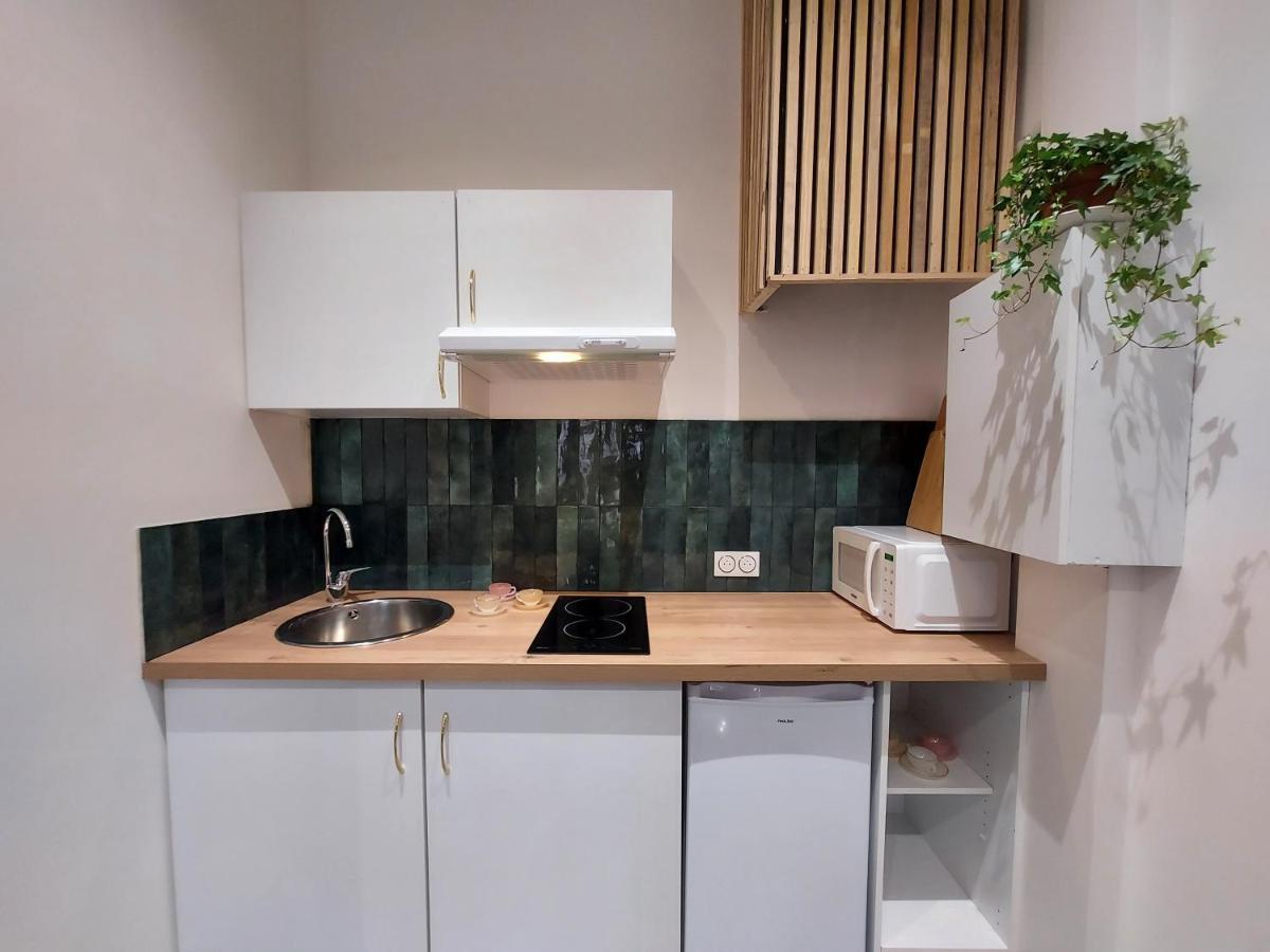 Les Studios De Theophile - Calme Absolu - Wifi - Centre Historique อาร์ลส์ ภายนอก รูปภาพ